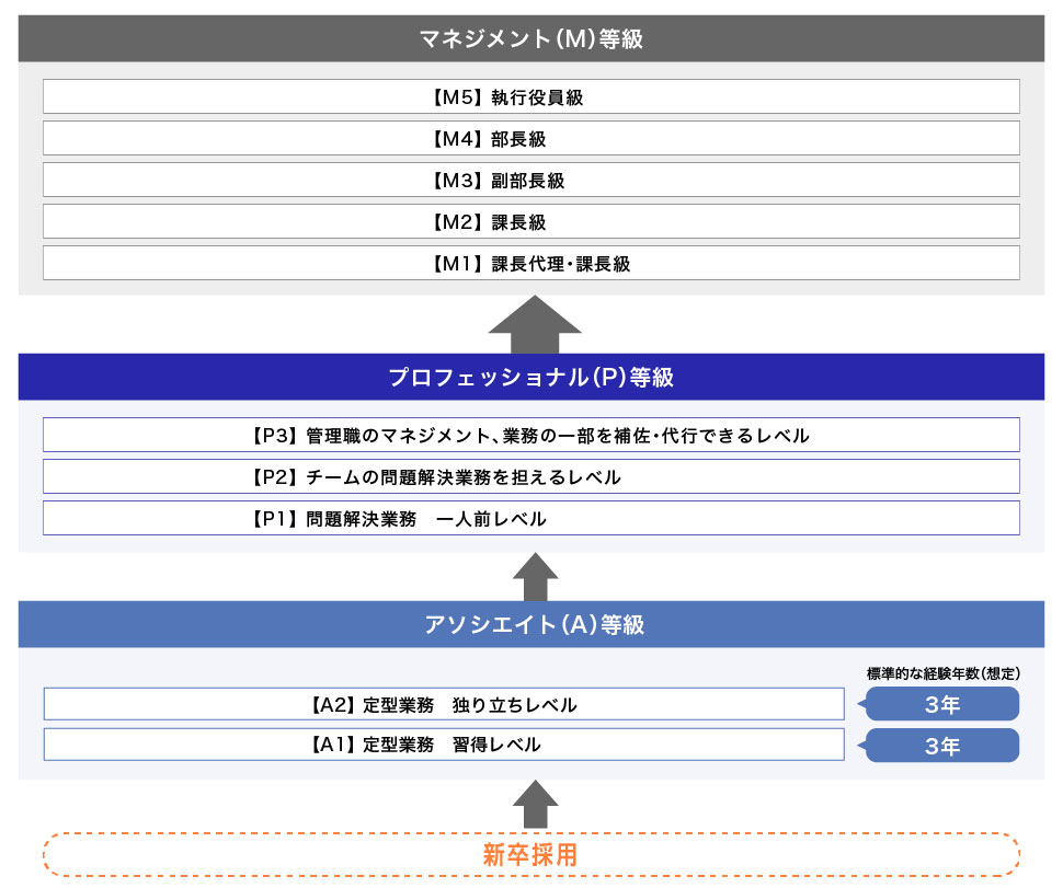 マネジメント（M）等級【M5】執行役員級【M4】部長級【M3】副部長級【M2】課長級【M1】課長代理・課長級 プロフェッショナル（P）等級【P3】管理職のマネジメント、業務の一部を補佐・代行できるレベル【P2】チームの問題解決業務を担えるレベル【P1】問題解決業務 一人前レベル アソシエイト（A）等級【A2】定型業務 独り立ちレベル（標準的な経験年数（想定）：3年）【A1】定型業務 習得レベル（標準的な経験年数（想定）：3年）新卒採用