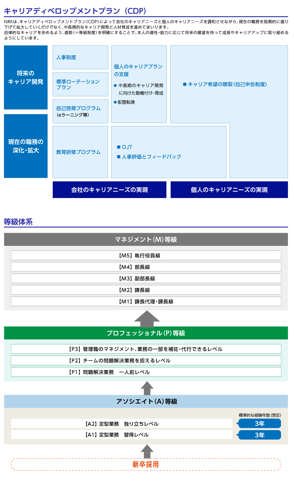 キャリアプラン